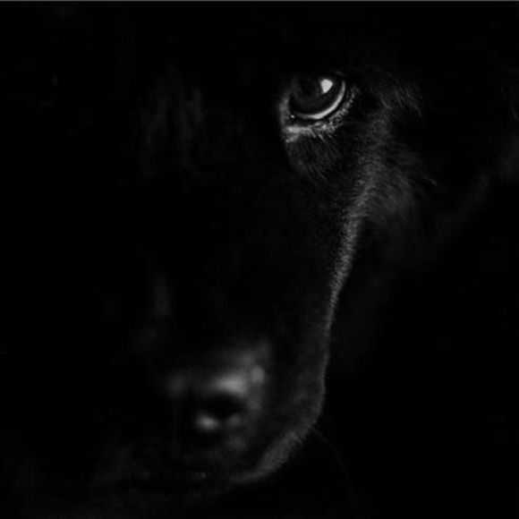 Meet your Posher, Jen - Picture 1 of 2